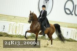 24R13_20964 proof