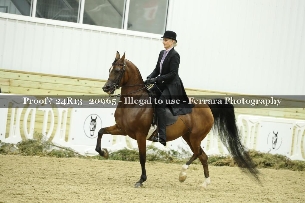 Proof 24R13_20965