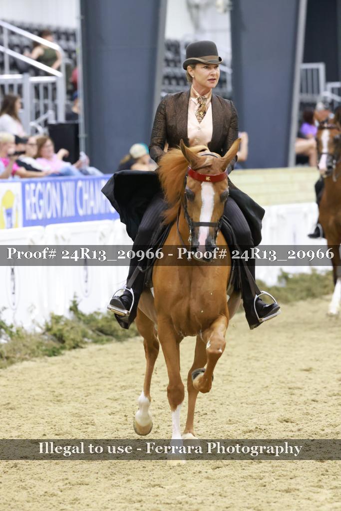 Proof 24R13_20966
