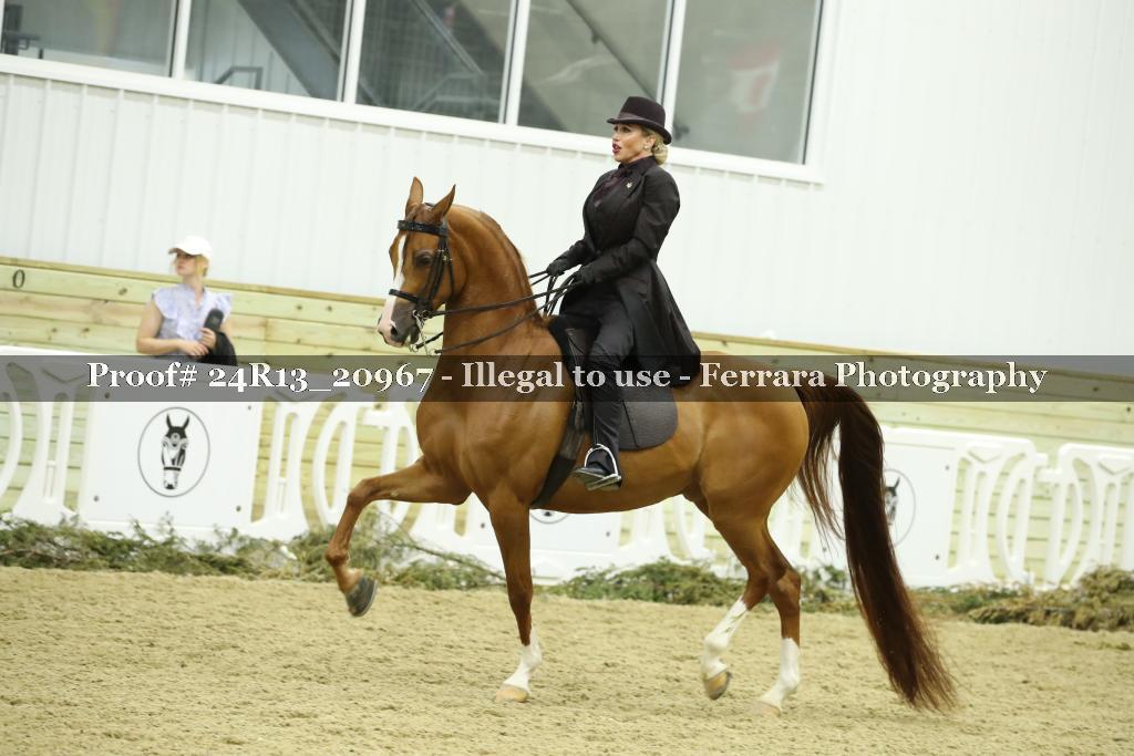 Proof 24R13_20967