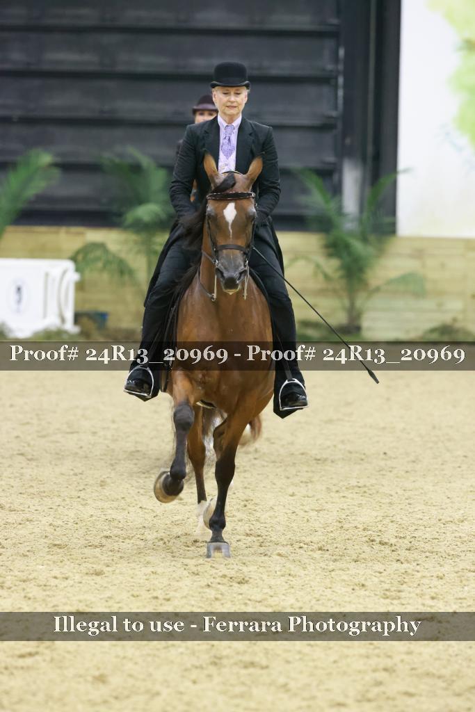 Proof 24R13_20969
