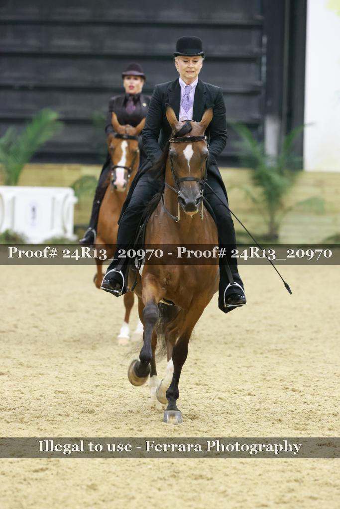Proof 24R13_20970