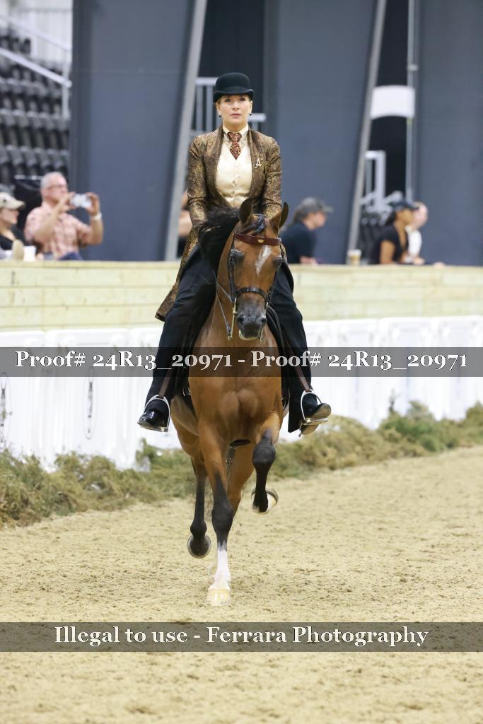 Proof 24R13_20971