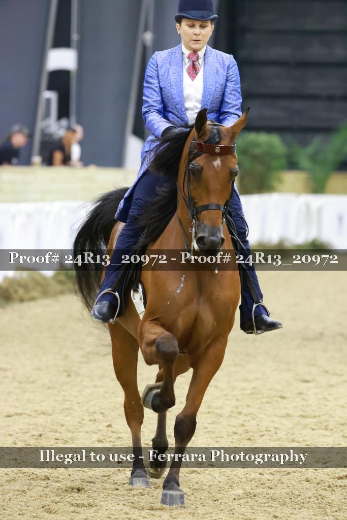 Proof 24R13_20972