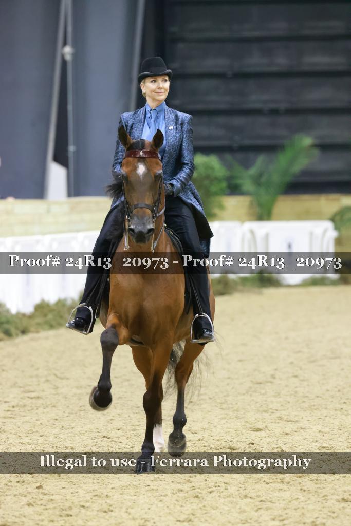 Proof 24R13_20973