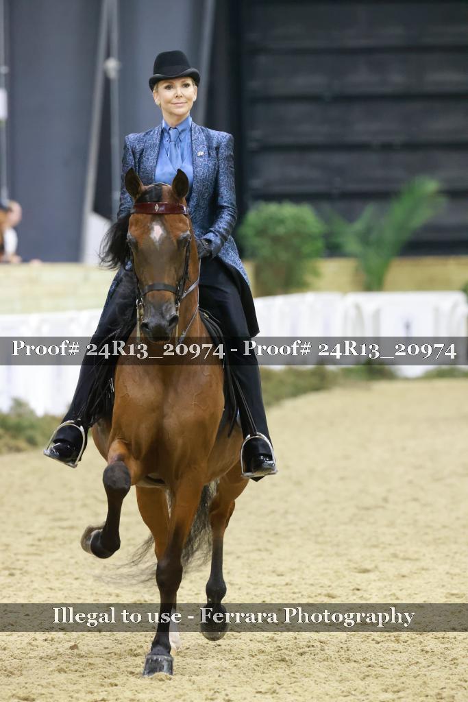 Proof 24R13_20974