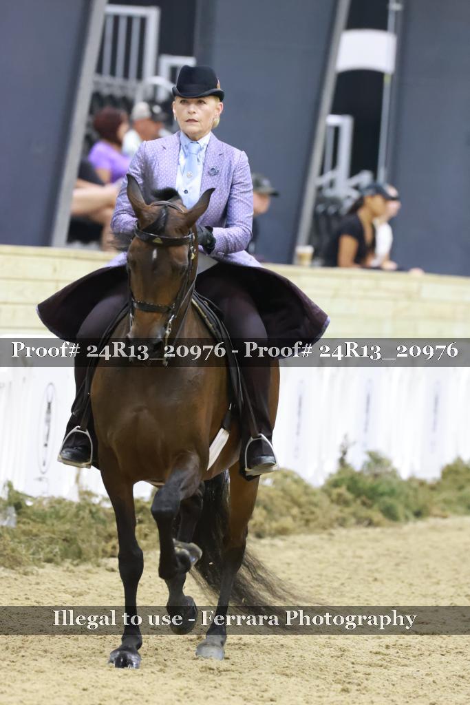 Proof 24R13_20976