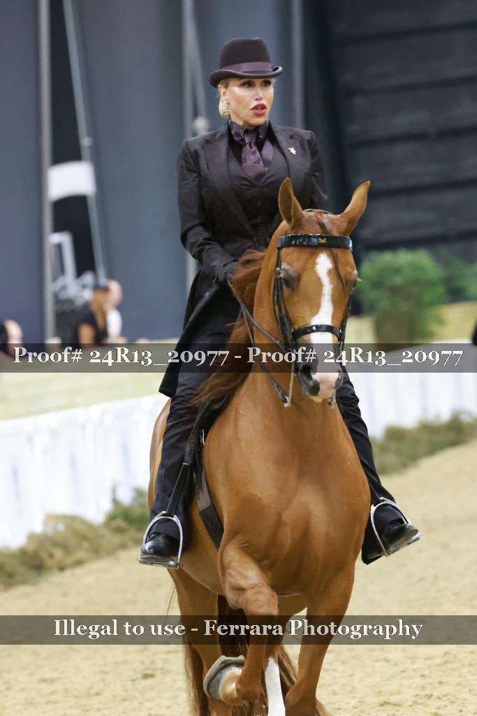 Proof 24R13_20977