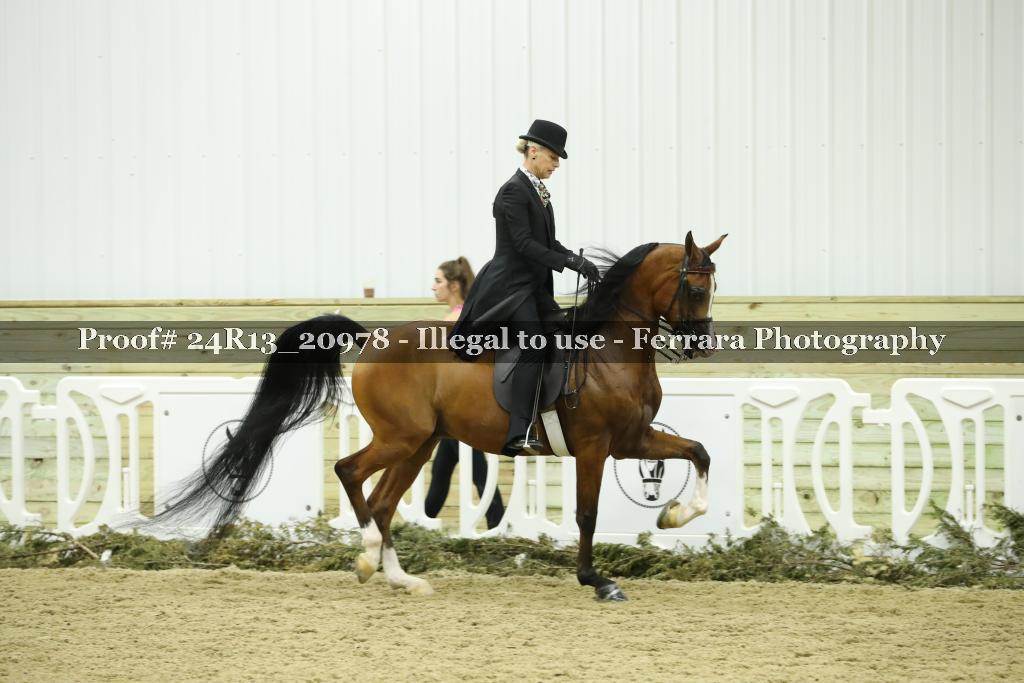 Proof 24R13_20978