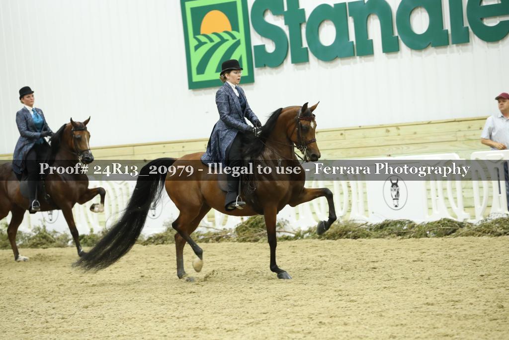 Proof 24R13_20979