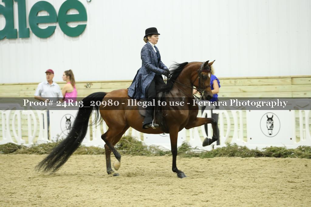 Proof 24R13_20980
