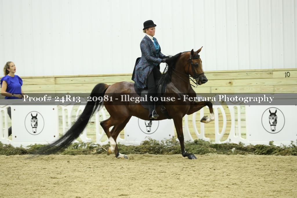 Proof 24R13_20981