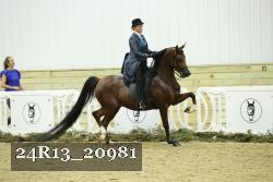 24R13_20981 proof
