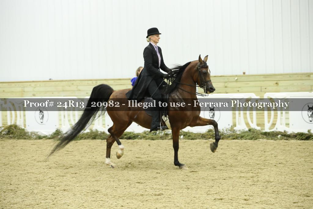 Proof 24R13_20982