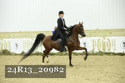 24R13_20982 proof