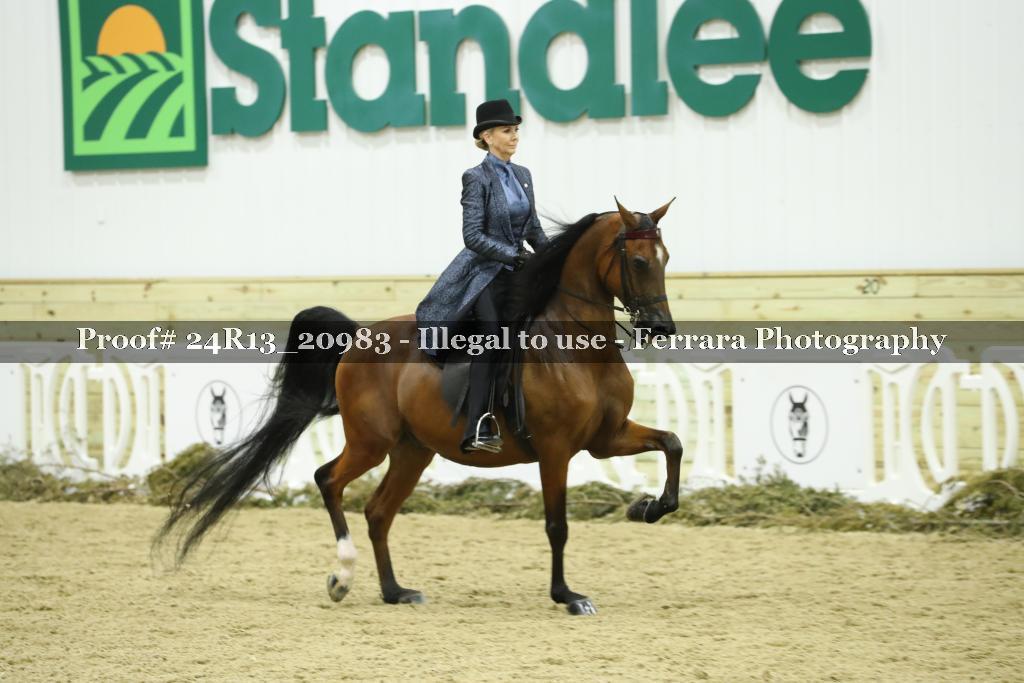 Proof 24R13_20983