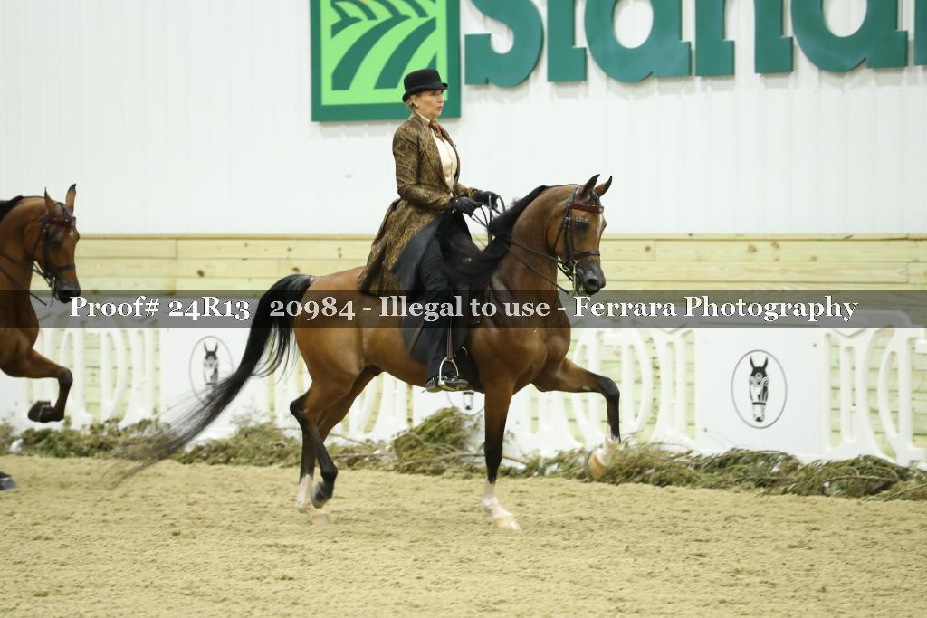 Proof 24R13_20984