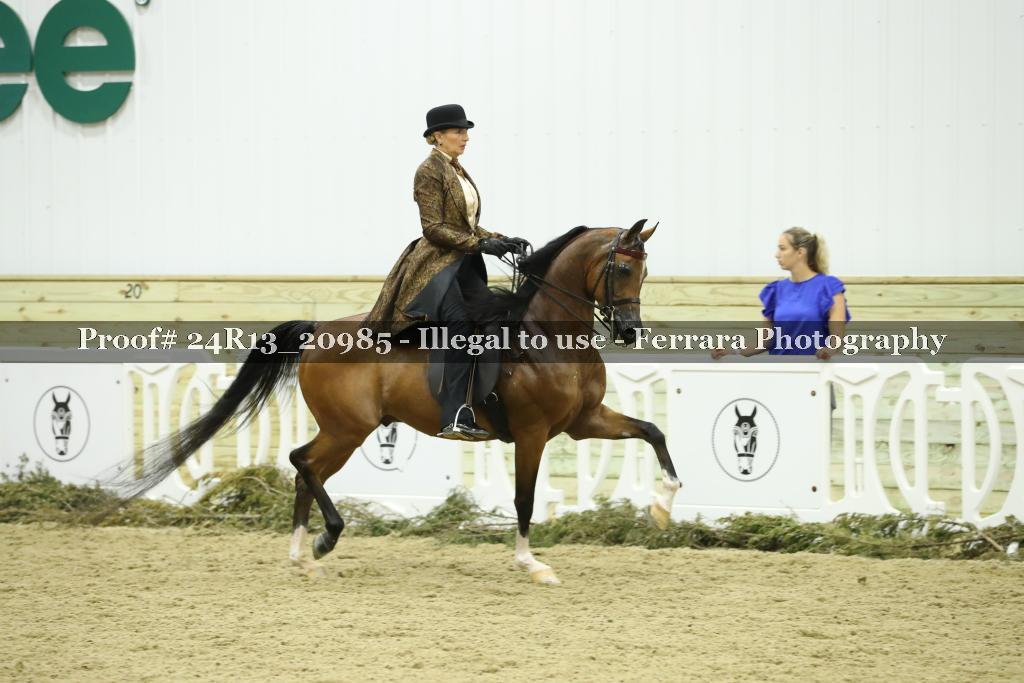 Proof 24R13_20985