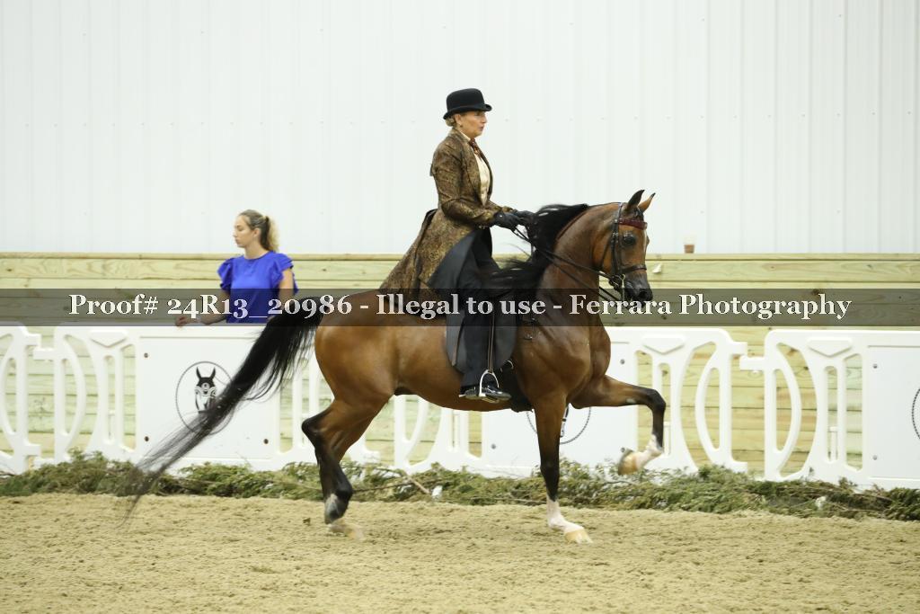 Proof 24R13_20986