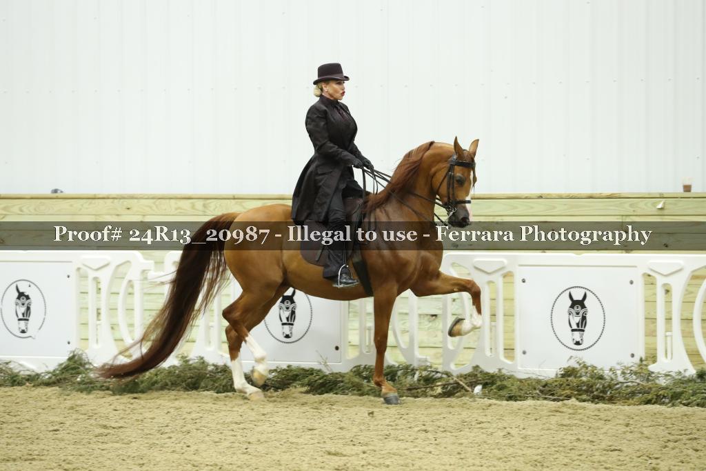 Proof 24R13_20987