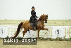 24R13_20987 proof