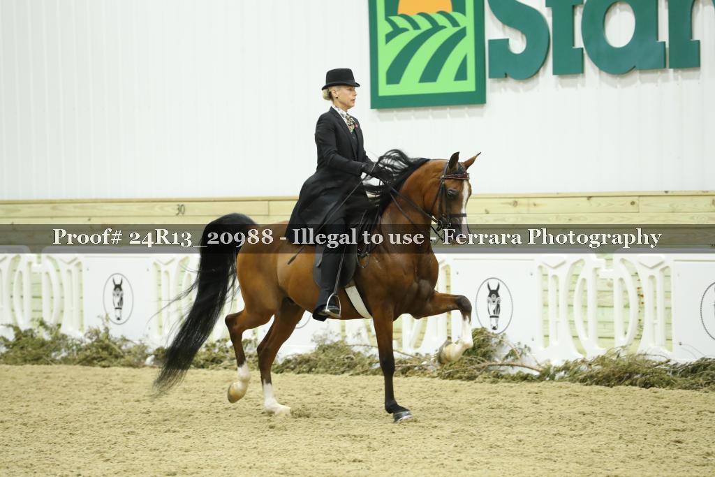 Proof 24R13_20988