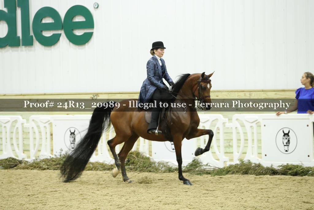 Proof 24R13_20989