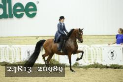 24R13_20989 proof