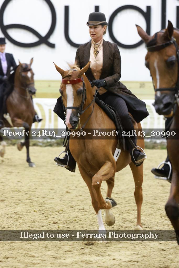 Proof 24R13_20990