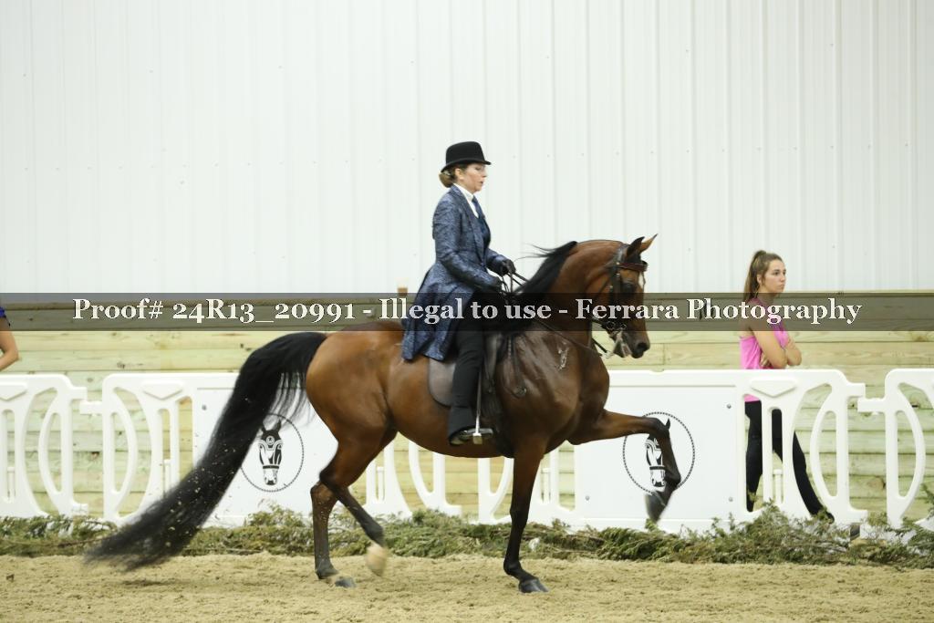 Proof 24R13_20991