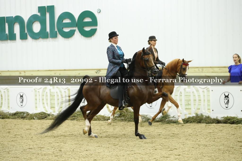 Proof 24R13_20992