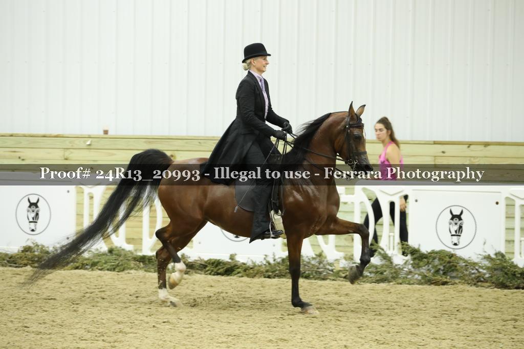 Proof 24R13_20993