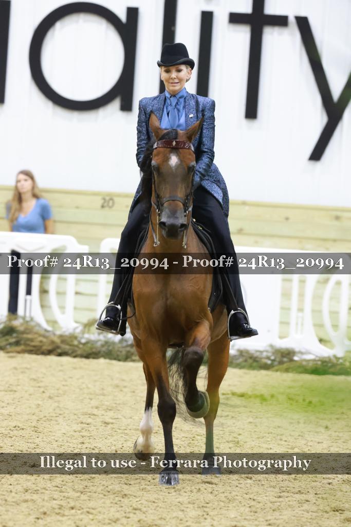 Proof 24R13_20994