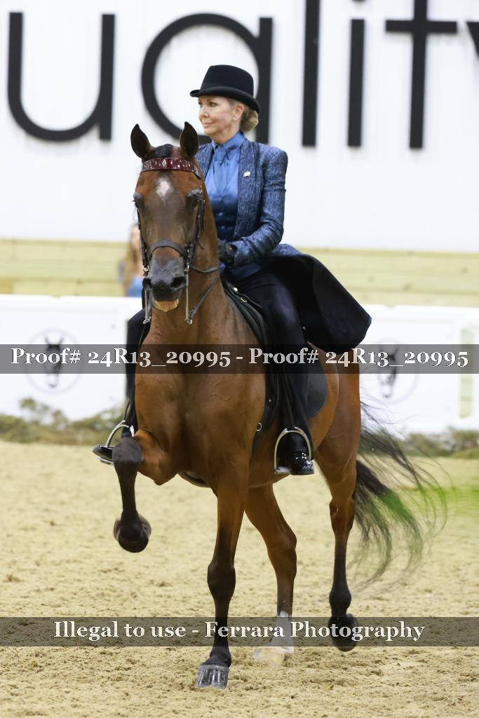Proof 24R13_20995