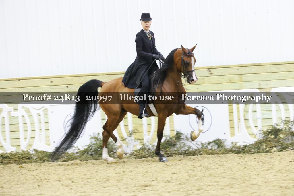 Proof 24R13_20997