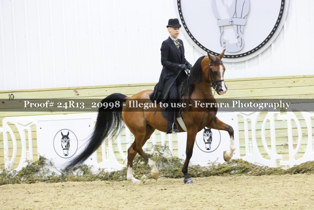 Proof 24R13_20998