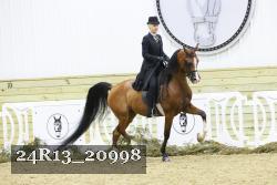 24R13_20998 proof