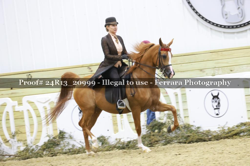 Proof 24R13_20999
