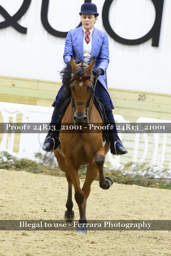 Proof 24R13_21001