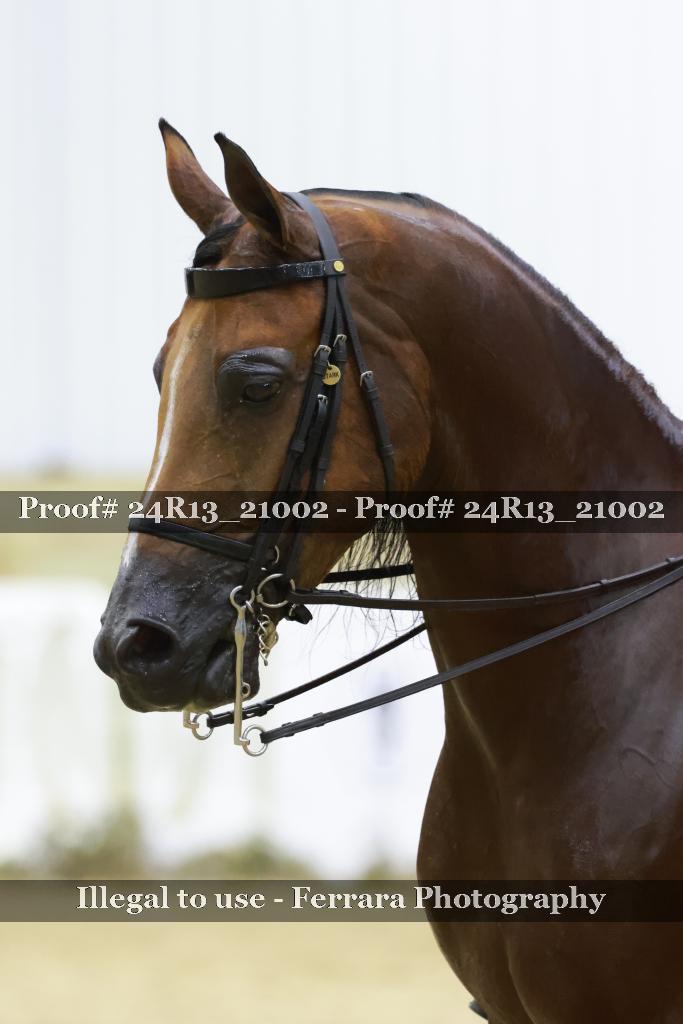 Proof 24R13_21002