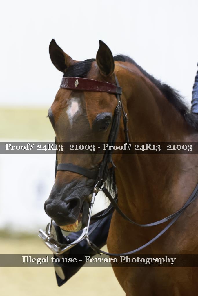 Proof 24R13_21003