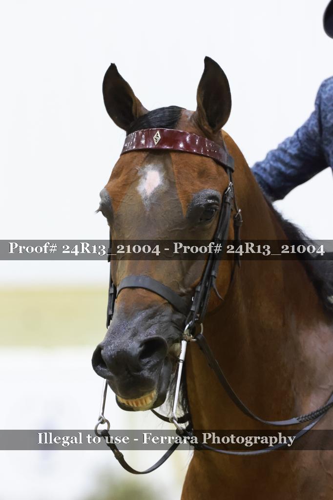 Proof 24R13_21004