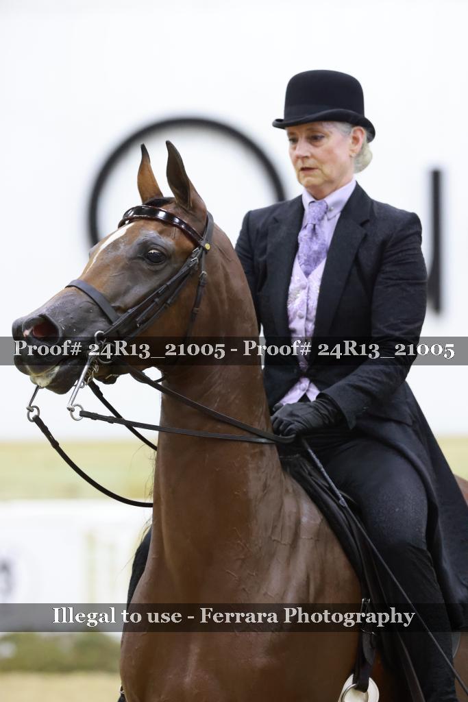 Proof 24R13_21005