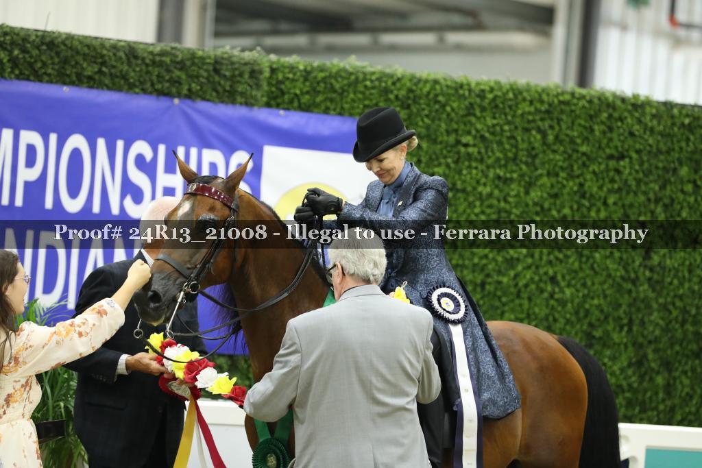 Proof 24R13_21008