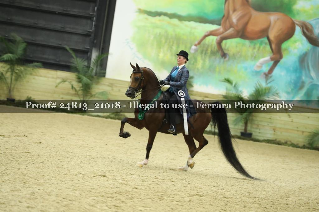 Proof 24R13_21018