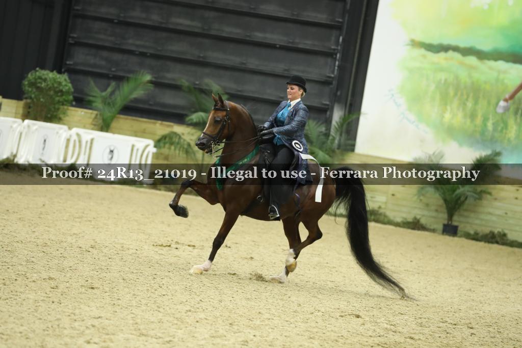 Proof 24R13_21019