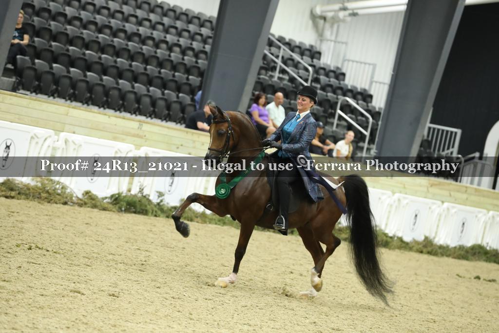Proof 24R13_21021