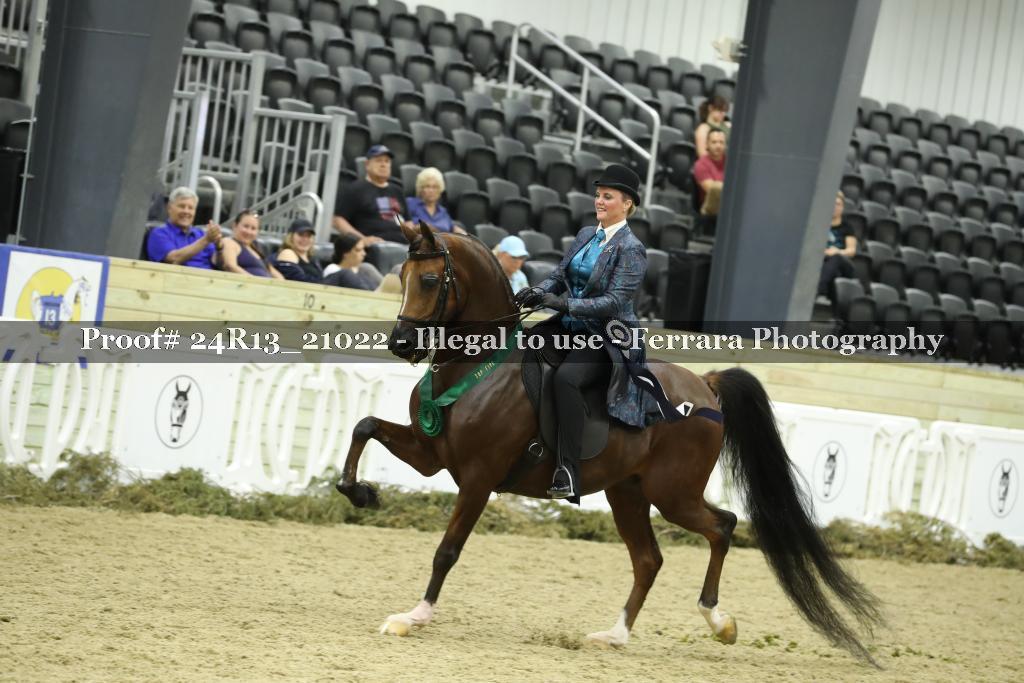 Proof 24R13_21022