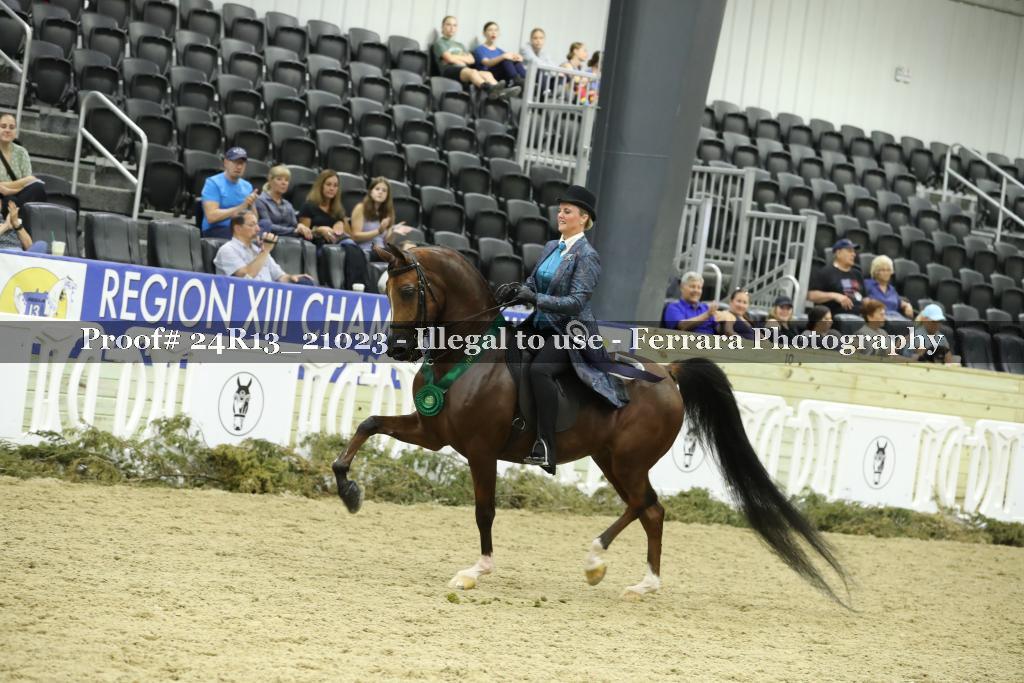 Proof 24R13_21023