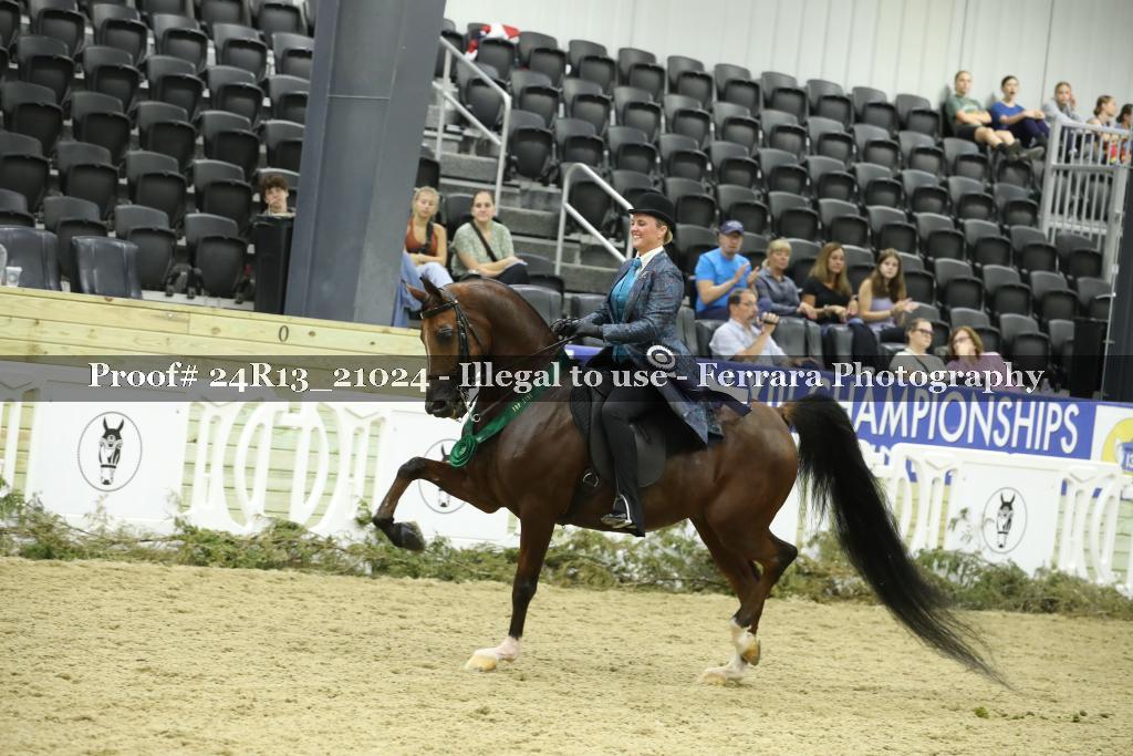 Proof 24R13_21024